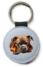 Staffordshire bull terrier - staffordshire,