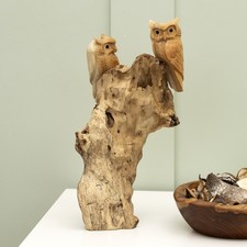 Tawny Owls Teak Root Tree