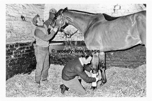 Pt8089 beverley kings - ,,