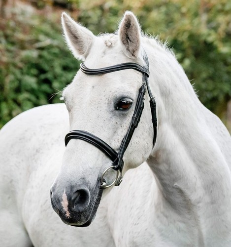 Horseware pony cavesson - horseware,