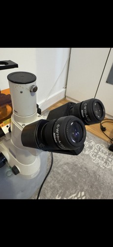 Nikon eclipse ts100 - eclipse,