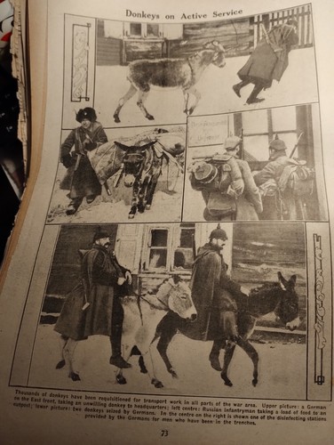 F1y ephemera 1915 ww1 - 1915,