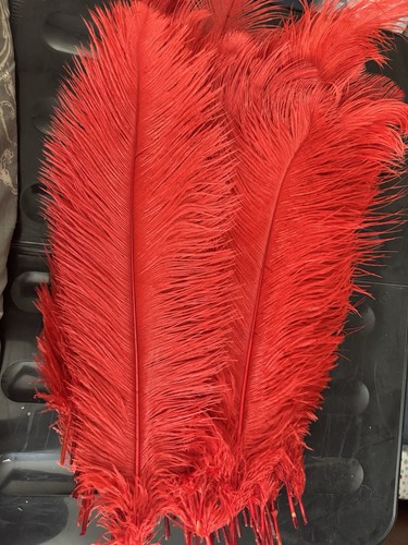 Red natural ostrich - natural,