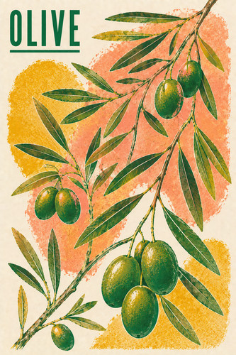 Olive branch poster green - olive,