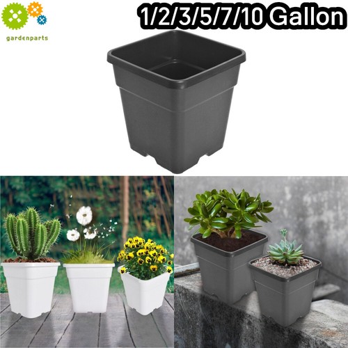 10pcs square usable - square, re-usable