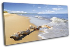Beach Driftwood Waves Sunset