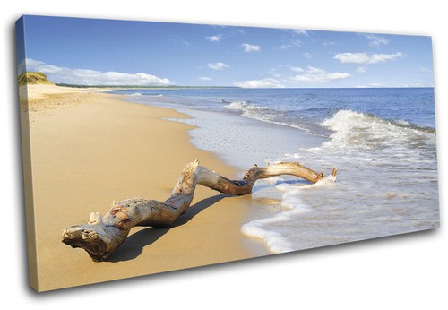 Beach driftwood waves sunset - beach,
