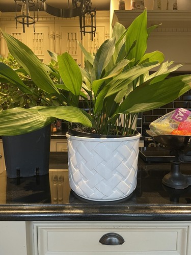 Huge white ceramic