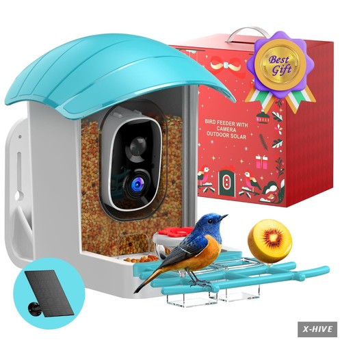 Bird feeder with - bird, camera
