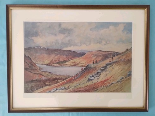 Robin furness foxhunting dogs - robin,