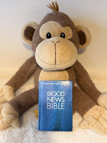Good news bible hardcover - good,