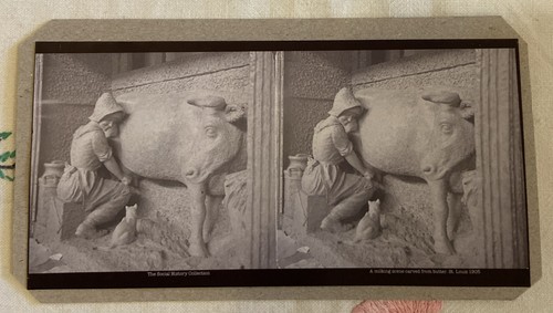 Stereoscope slide milking - a,