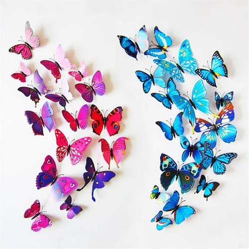 Butterfly fridge magnet 2d - fridge,
