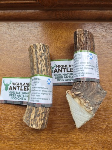 Large highland antler - large,