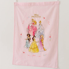 Disney Princess Fabric Poster