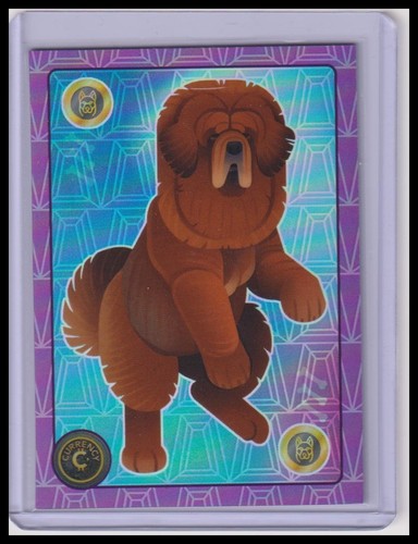 Tibetan mastiff 2025 - tibetan,