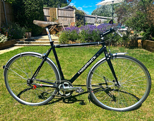 Ridgeback genesis day - day:00, 700c