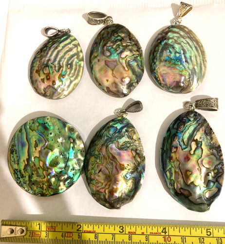 Job lots abalone shell - job.,