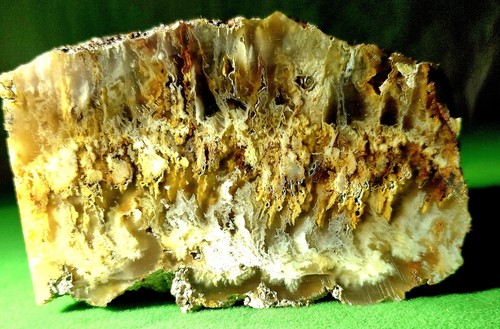 Graveyard point plume agate - point,