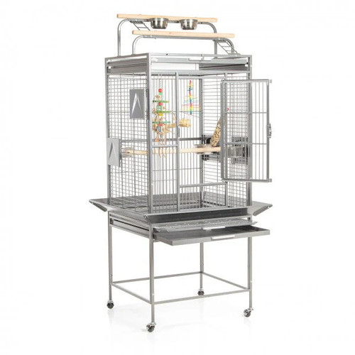 Bolivia parrot medium play - parrot,