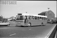 35mm Black and White Negative