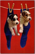 Vintage 1960s DOG BREED