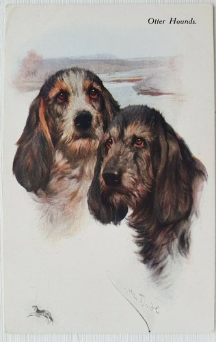 Arthur wardle otter hounds - wardle.,