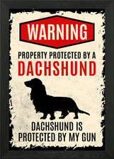 Dachshund Dog Warning 5 Framed
