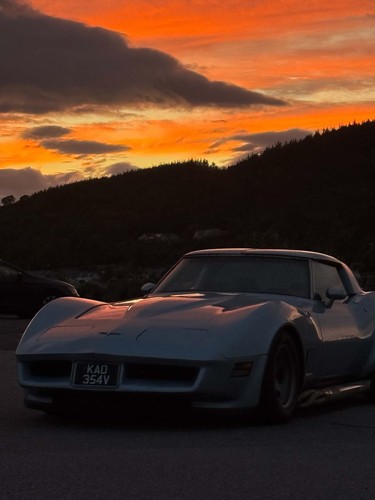 Chevrolet corvette stingray - chevrolet,