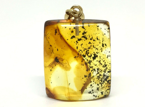 Amber pendant gift - pendant, insect