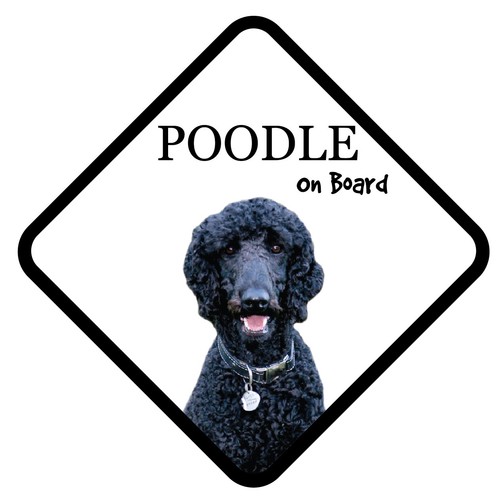 Black poodle dog board car - black,