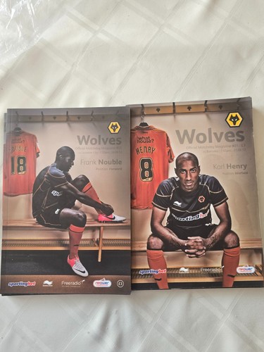 Wolverhampton wanderers wolves - wanderers,
