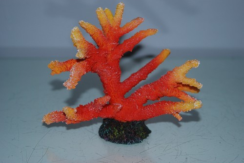 Detailed aquarium coral - coral, reef