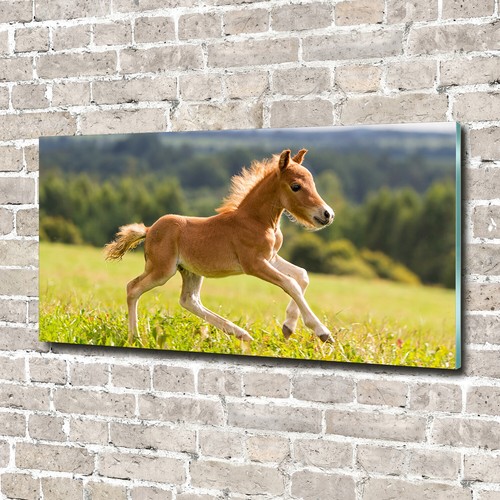 Glass picture wall art - , print