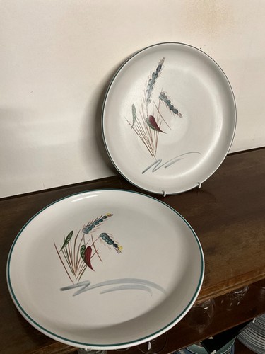 Denby greenwheat stoneware - greenwheat,