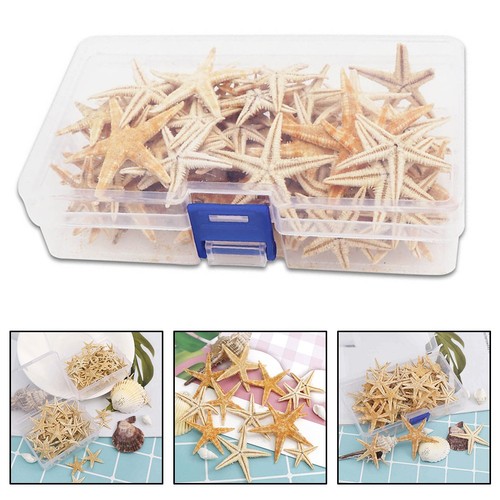 Tiny starfish for resin - for,