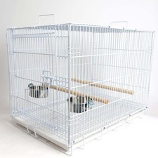 Liberta Large Folding Parrot