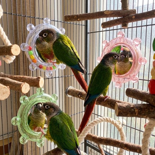 Parrot mirror toy - parrot, bird