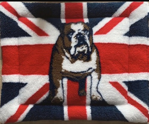 British bulldog padded - bed,