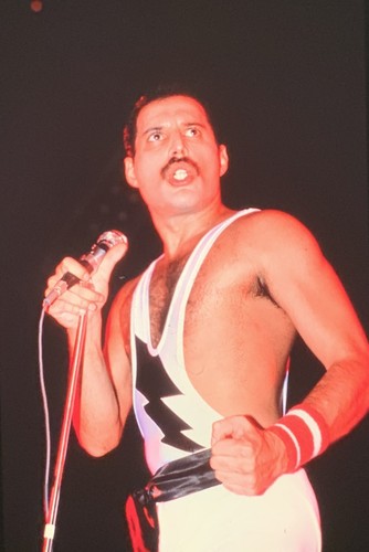 Queen freddie mercury - freddie,
