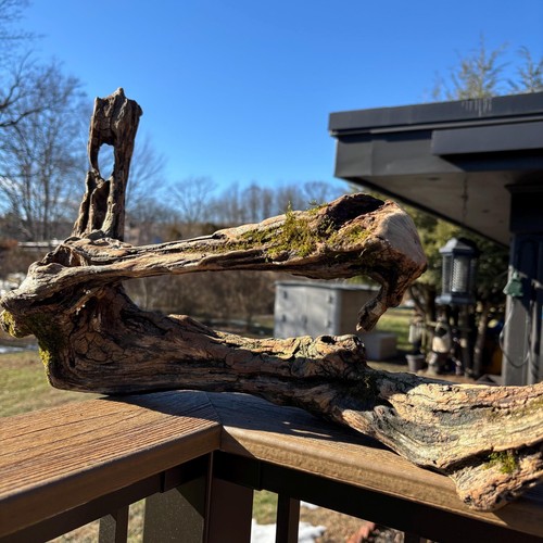Hardwood driftwood 23x8x14 - driftwood, –
