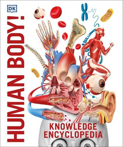 Knowledge encyclopedia human - knowledge,