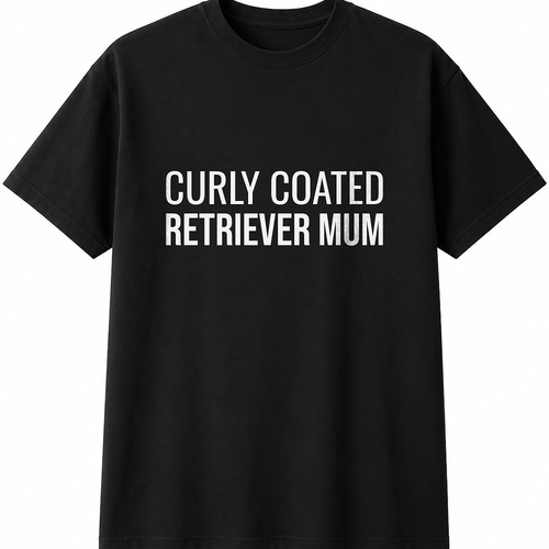 Curly coated retriever - curly,