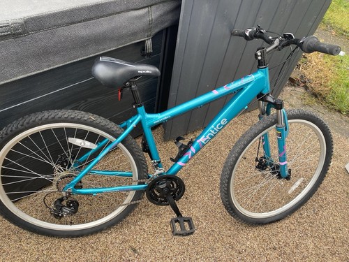 Mountain bike - mountain,