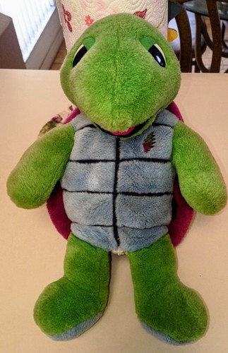 Grateful dead terrapin - grateful, turtle