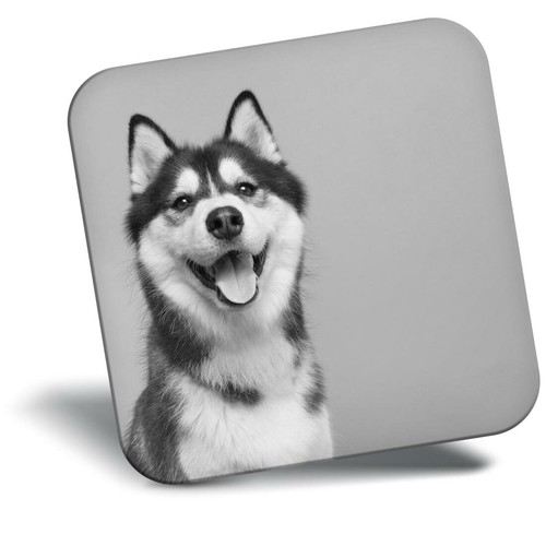 Awesome fridge magnet - fridge,