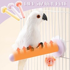 Bird Station Pole Winter USB