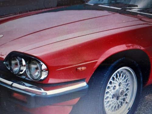 Jaguar xjs mans - jaguar, body