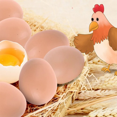 12pcs plastic fake chicken - 12pcs,