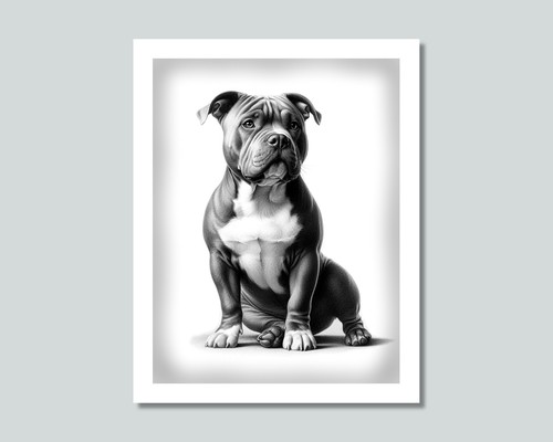 American bully dog photo - dog,